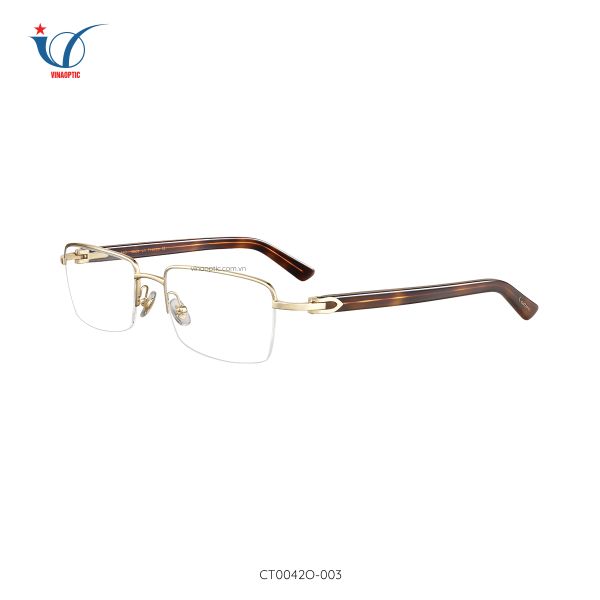 Gọng Cartier Ct0221o-001 Có Hợp Với Mặt Tròn?