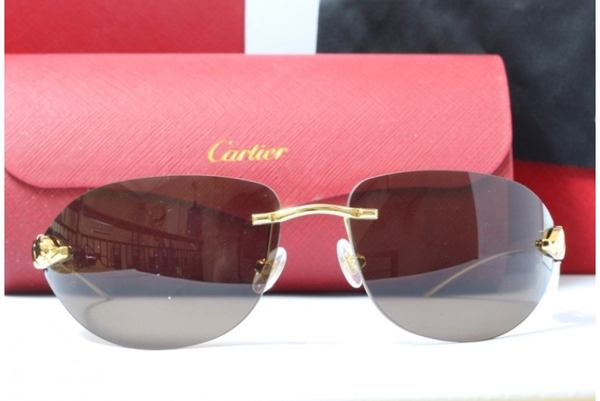 Gọng Cartier Ct0128o-005 Có Hợp Với Mặt Tròn To?