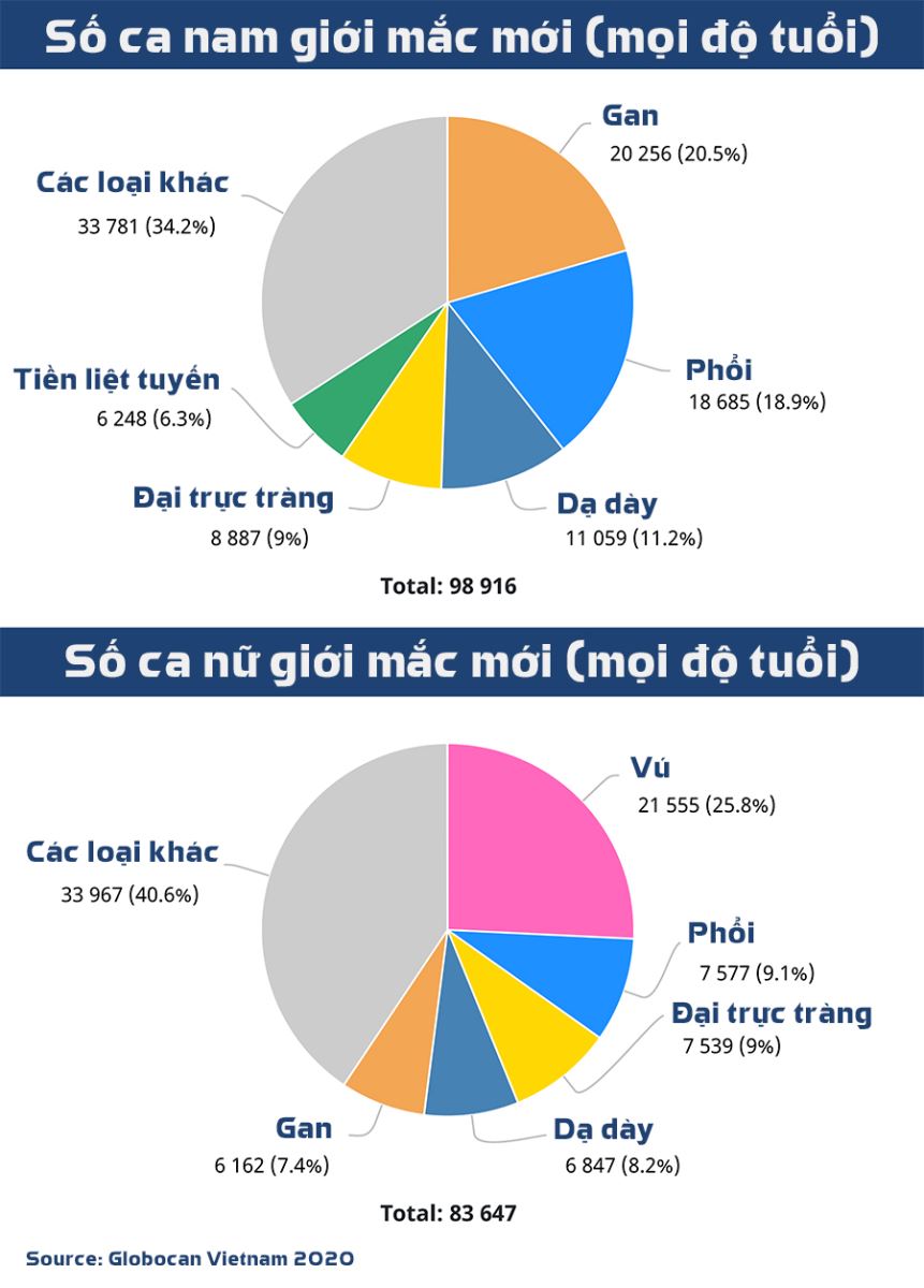 Cách Hệ Thống Kính Thuốc Uy Tín Tại Oita Nhật Bản, Thương Hiệu Tốt