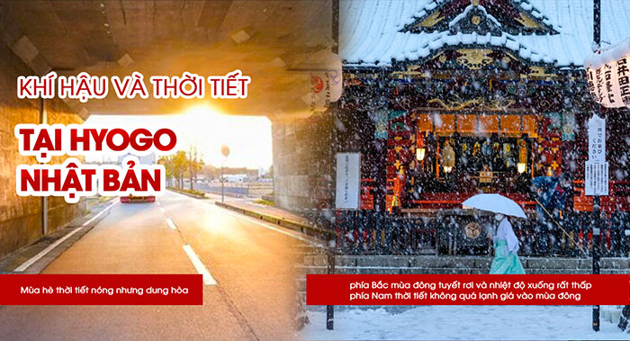 Các địa Chỉ Cắt Kính Tại Hyogo Nhật Bản, Thương Hiệu Tốt