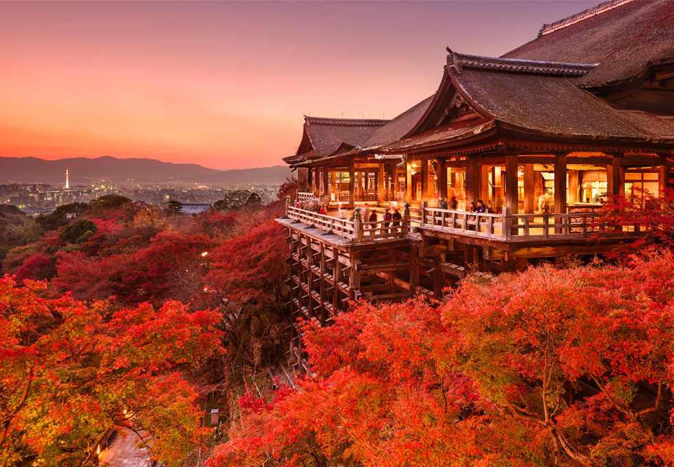 Các địa Chỉ đo Mắt Tại Kyoto Nhật Bản, Giá Tham Khảo