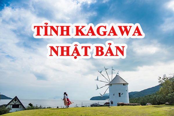 Cách Hệ Thống Kính Thuốc Uy Tín Tại Kagawa Nhật Bản, Thương Hiệu Tốt
