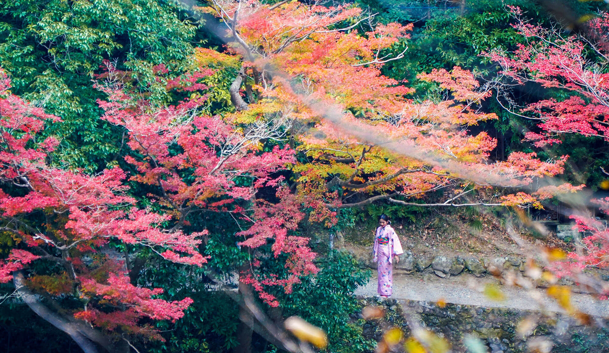 Cắt Kính ở đâu Tại Nagano Nhật Bản, Giá Tham Khảo