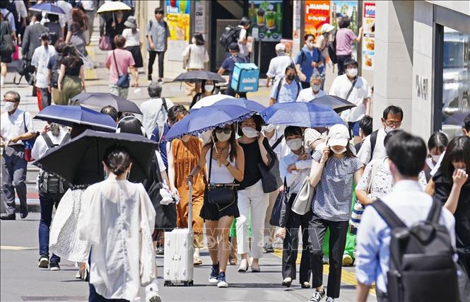 Cắt Kính ở đâu Tại Tokyo Nhật Bản, Thương Hiệu Tốt
