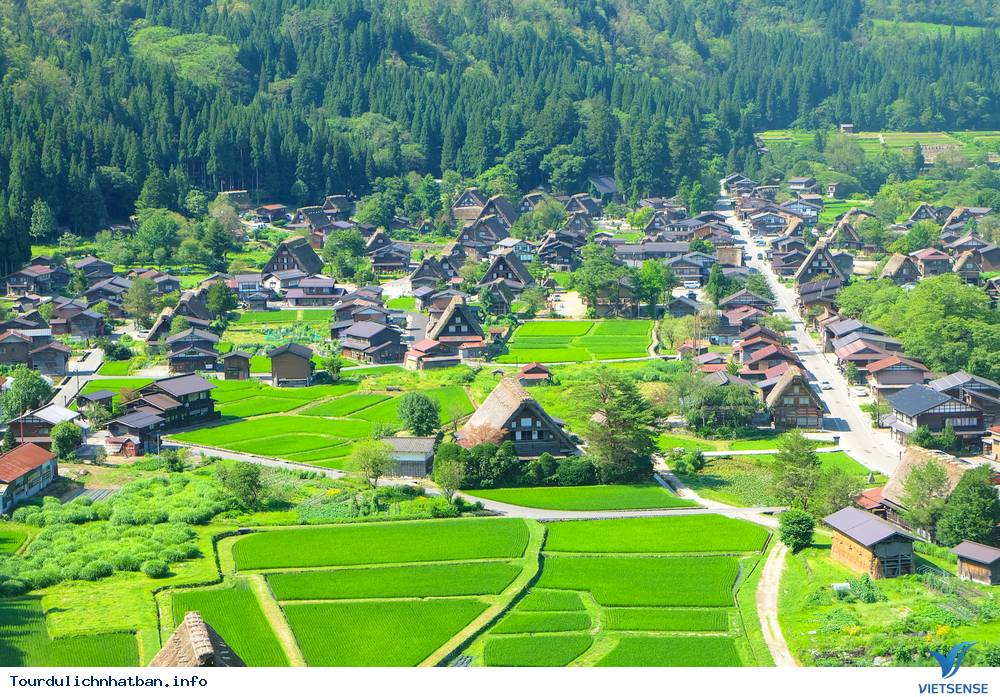 Cắt Kính Cận ở đâu Tại Gifu Nhật Bản, Thương Hiệu Uy Tín