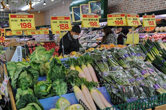 Cắt Kính ở đâu Tại Saitama Nhật Bản, Thương Hiệu Uy Tín