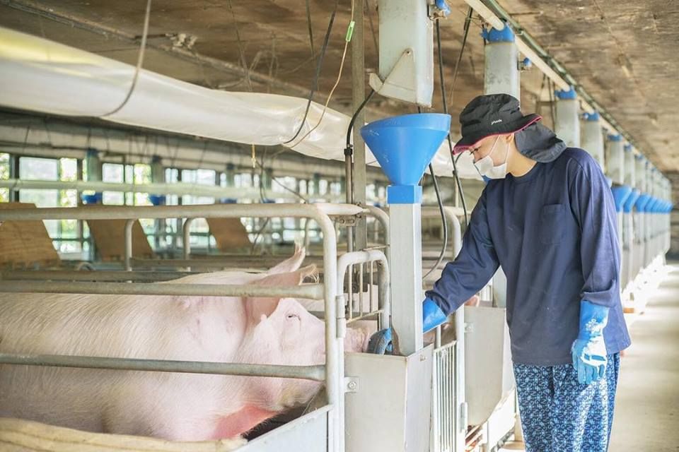 đo Mắt ở đâu Tại Mie Nhật Bản, Từ Vựng Tiếng Nhật Hay Dùng