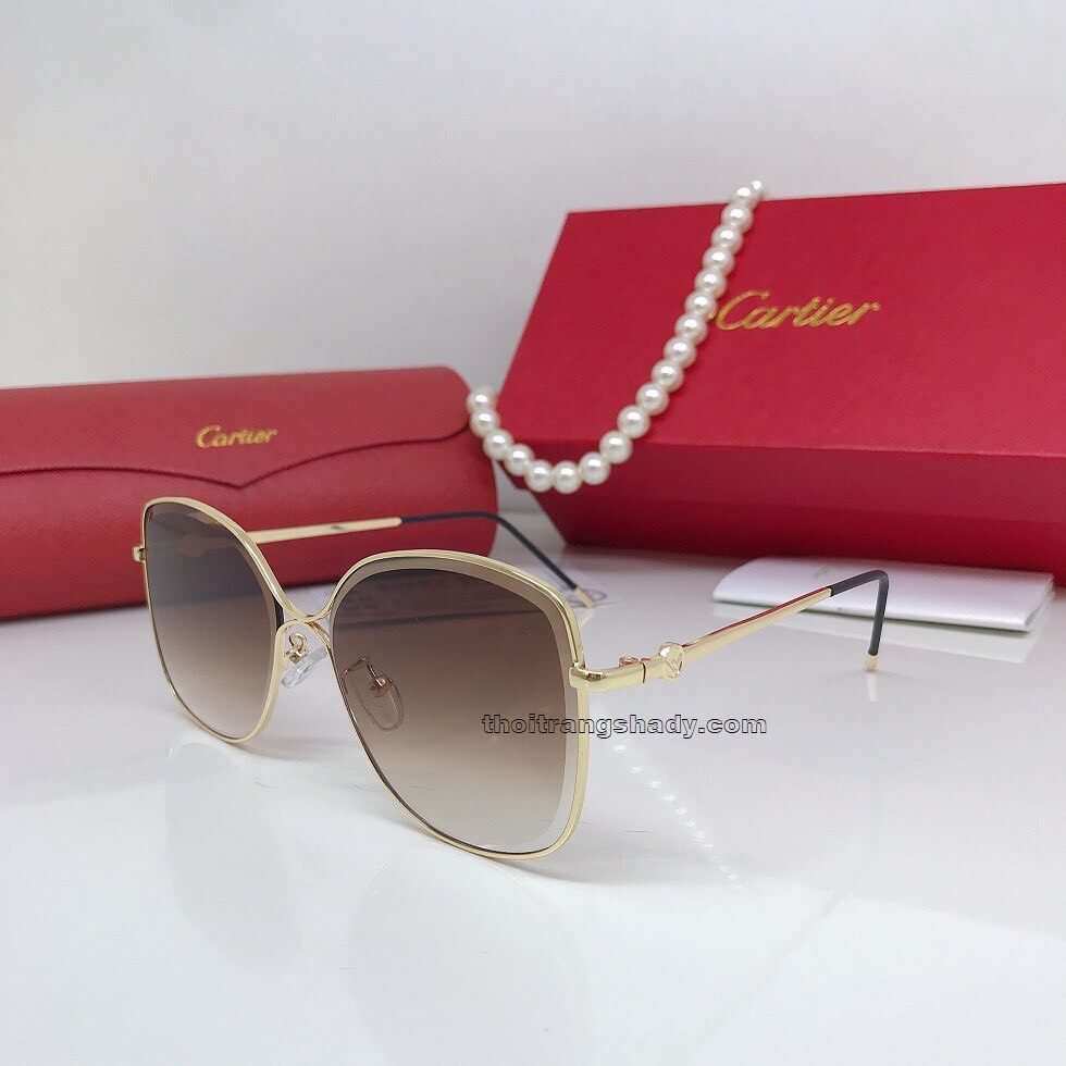 Mắt Kính Cartier Nào Phù Hợp Cho Mặt Tròn, Kinh Nghiệm Mua